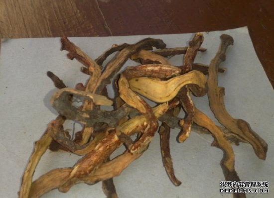 大叶骨碎药材