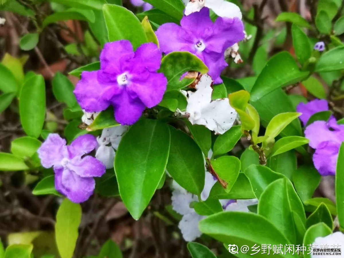 昨天。今天。明天
