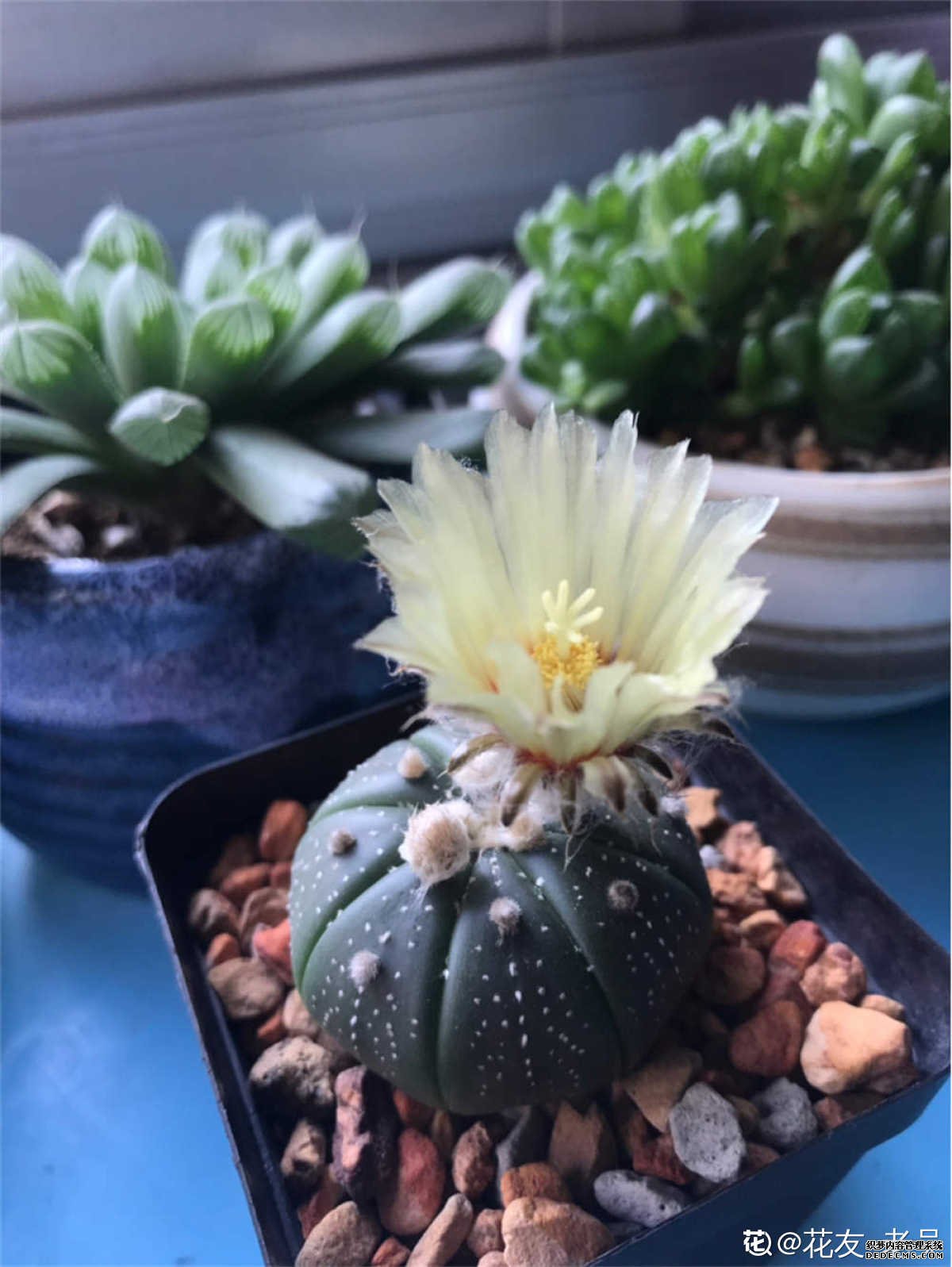 星球图片
