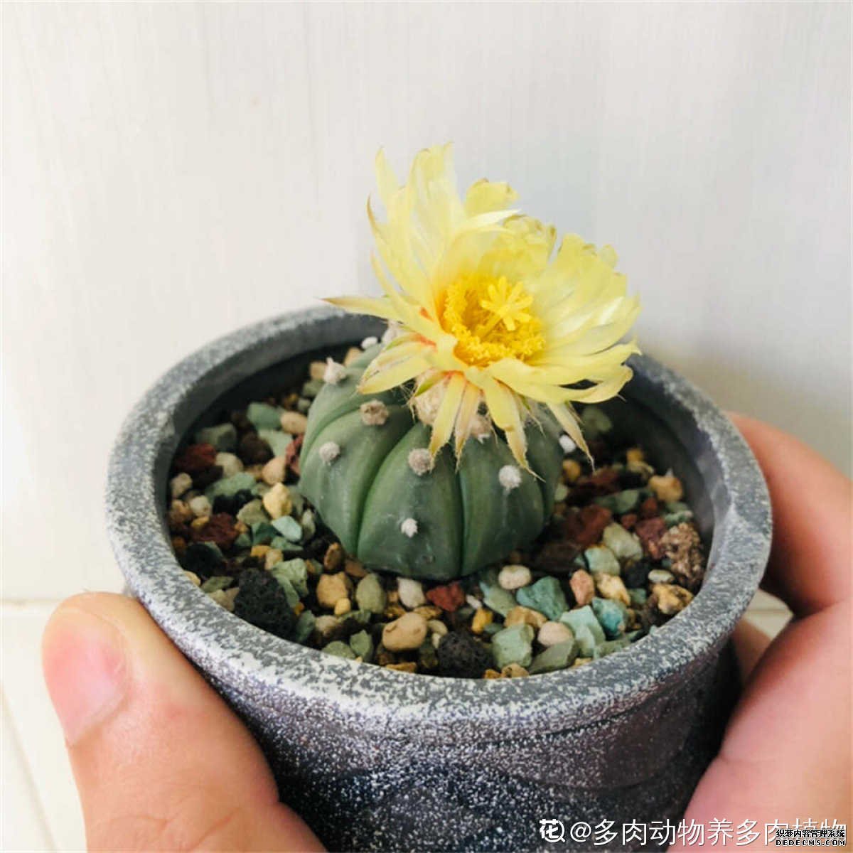 星球大战