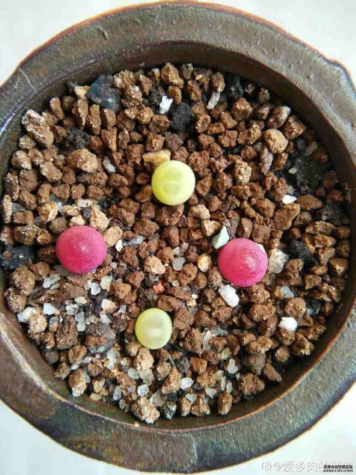 照亮前进路途的灯泡