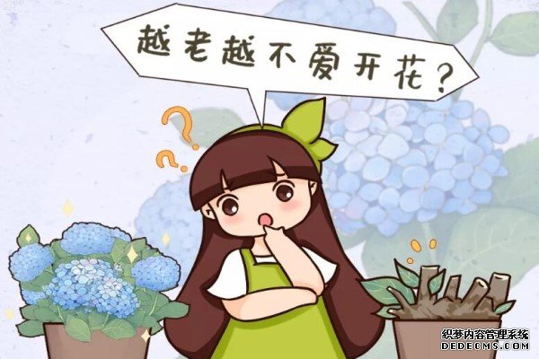 8种花别养老桩，老了不开花，变成木疙瘩！