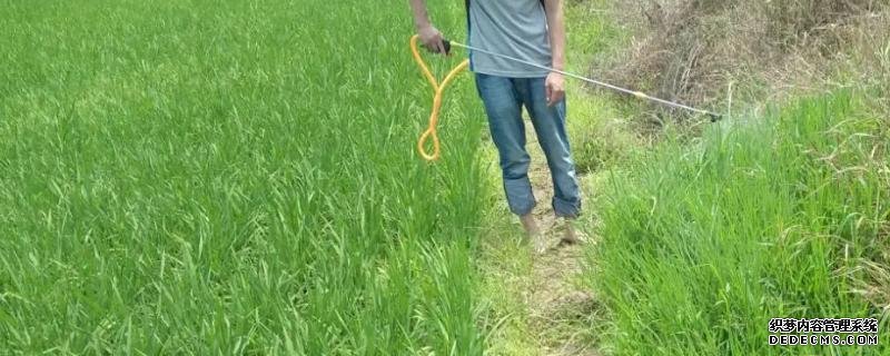 水稻田埂除草剂的配方