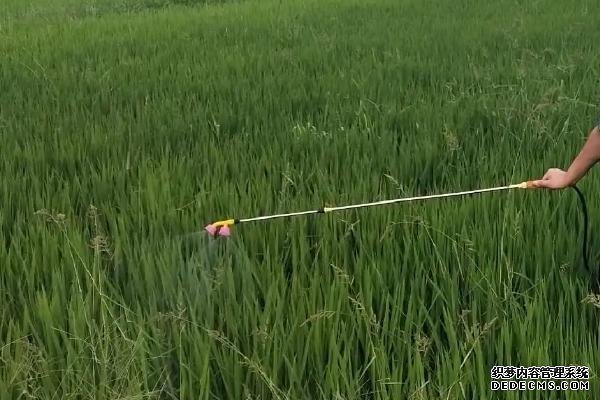 水稻田埂除草剂的配方