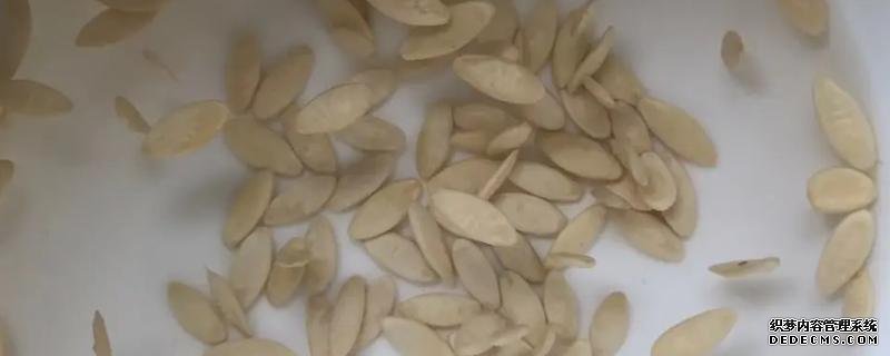 种植蔬菜的相关知识