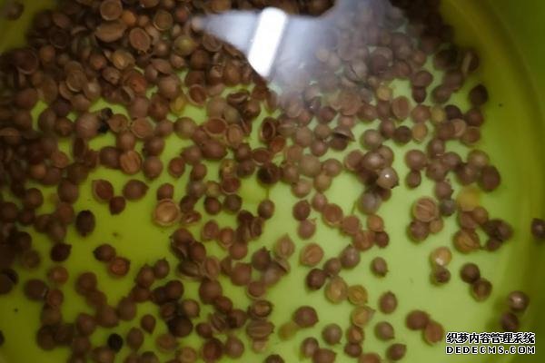种植蔬菜的相关知识