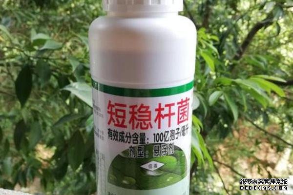 短稳杆菌杀虫剂的特点