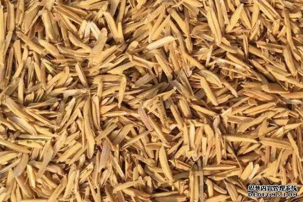 谷壳如何简单发酵