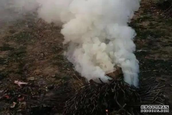 如何治疗小麦干尖黄叶
